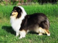 VERA