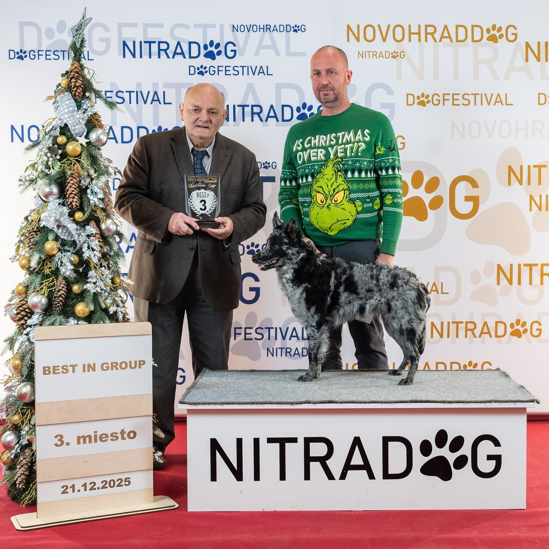 3. BEST IN GROUP FCI 1